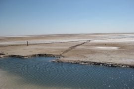 Il Chott El Djerid, distesa di sale nel deserto - immagine 1