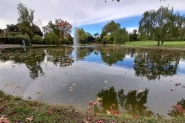 La Villa Reale di Marlia, residenza reale e giardini splendidi vicino Lucca - immagine 1