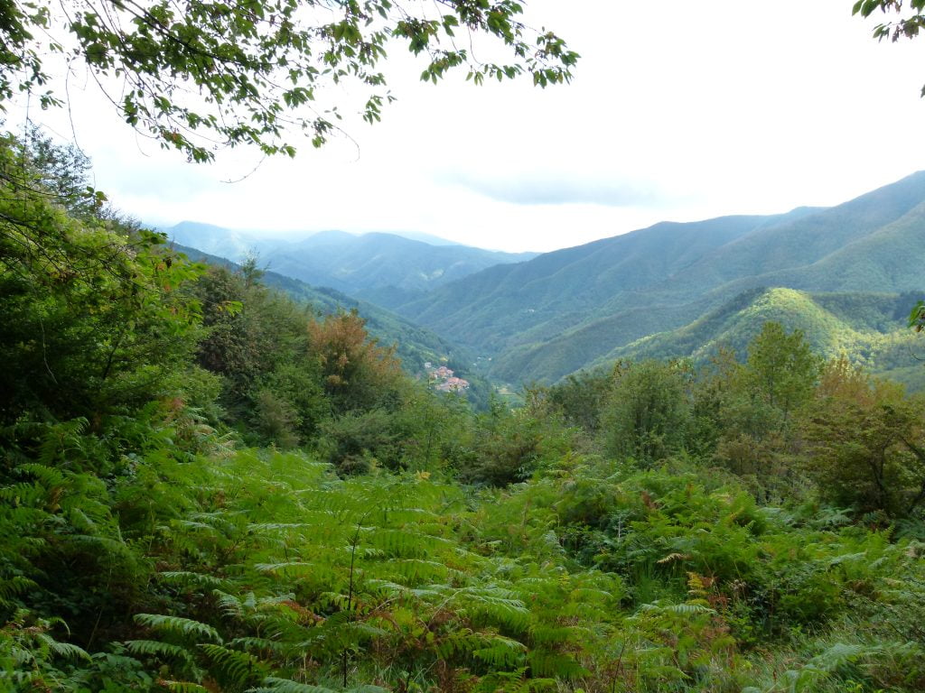 Orsigna, seguendo Terzani sull'Appennino pistoiese - immagine 26