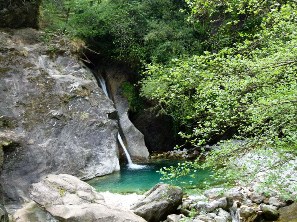 Pozze Malbacco nella natura dell'Alta Versilia - immagine 6