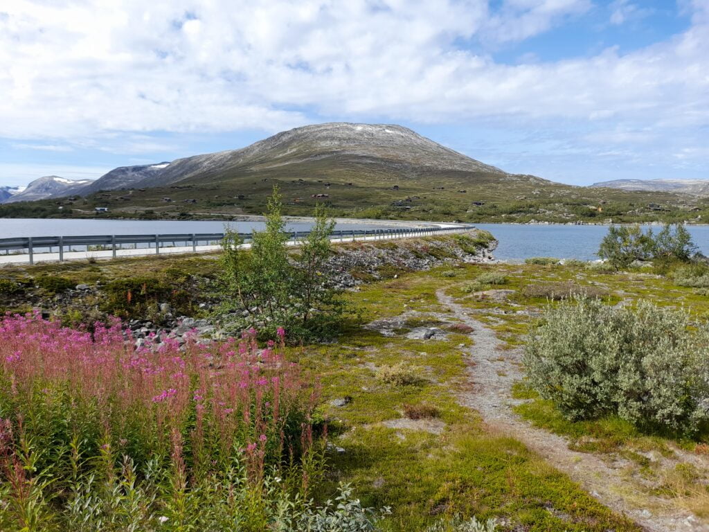 Da Geiranger a Hellesylt, cartolina dai fiordi - immagine 7