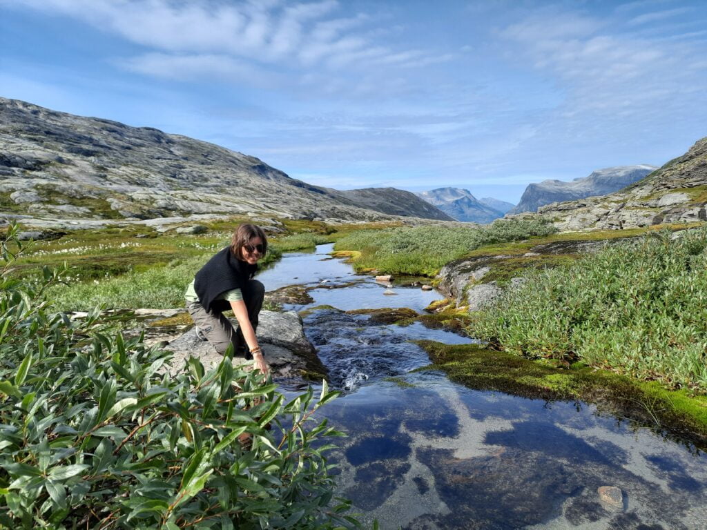 Da Geiranger a Hellesylt, cartolina dai fiordi - immagine 3