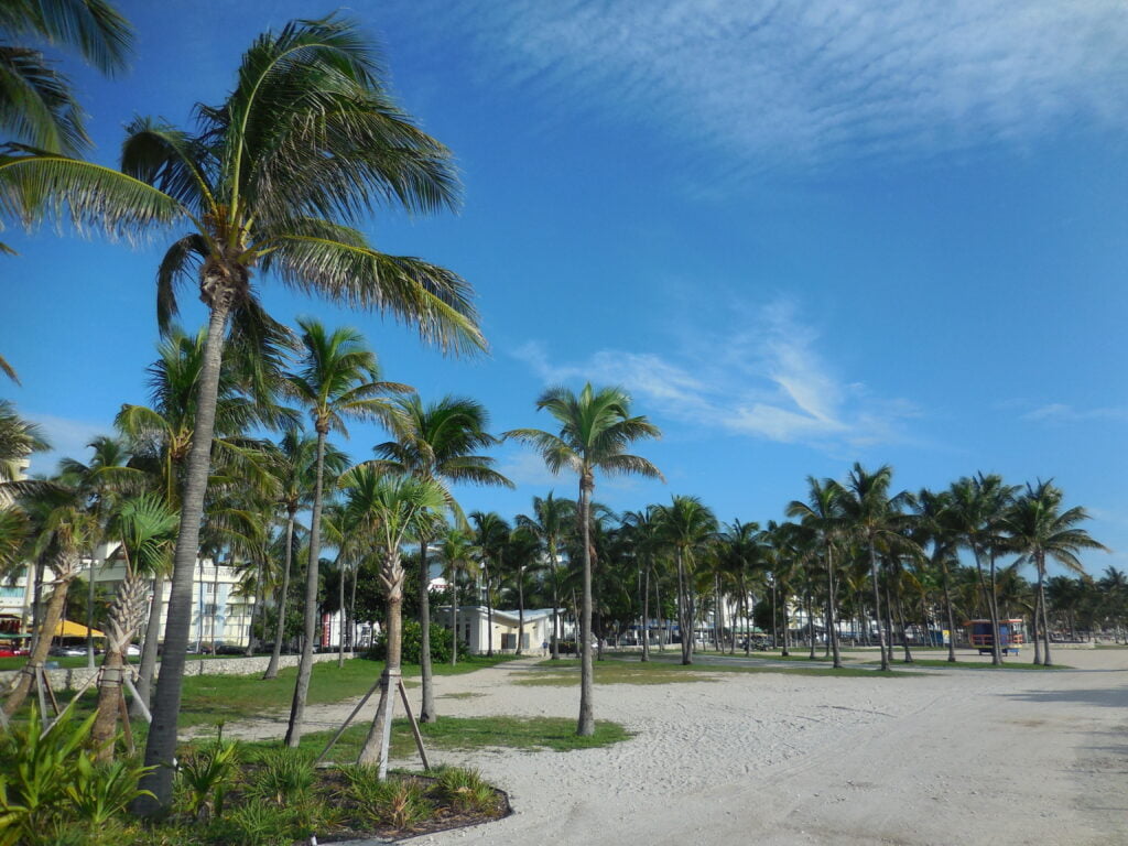 Miami South Beach, sole, spiagge e sport - immagine 5