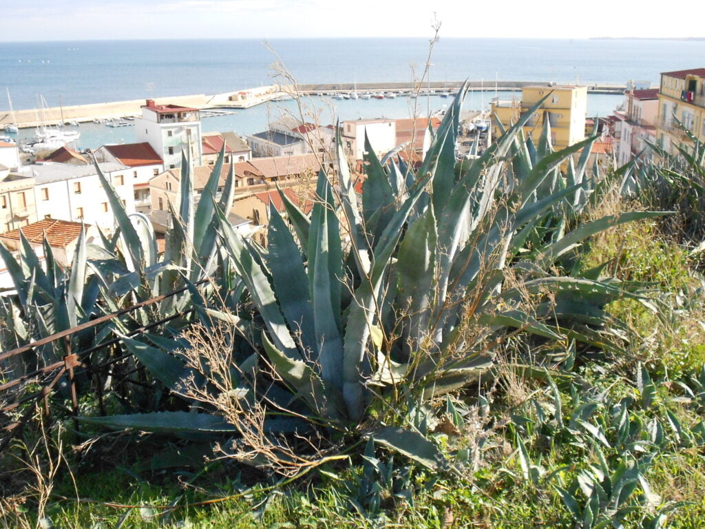 Crotone, la città di Pitagora affacciata sullo Ionio - immagine 8