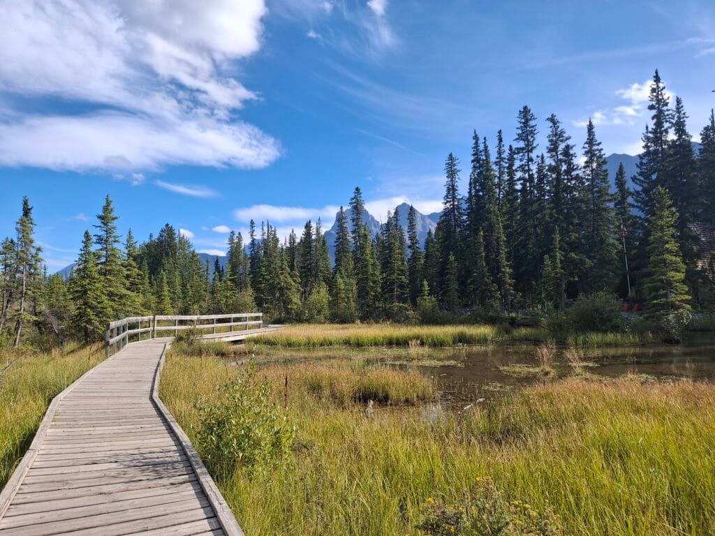 Canada, da Vancouver ai parchi delle Rockies - immagine 14