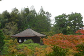 Ginkaku-ji, il tempio d'argento di Kyoyo - immagine 1