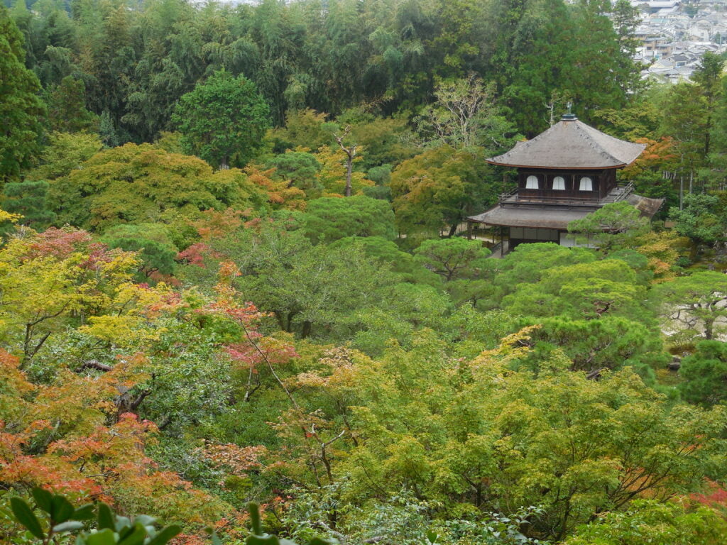 Ginkaku-ji, il tempio d'argento di Kyoyo - immagine 8