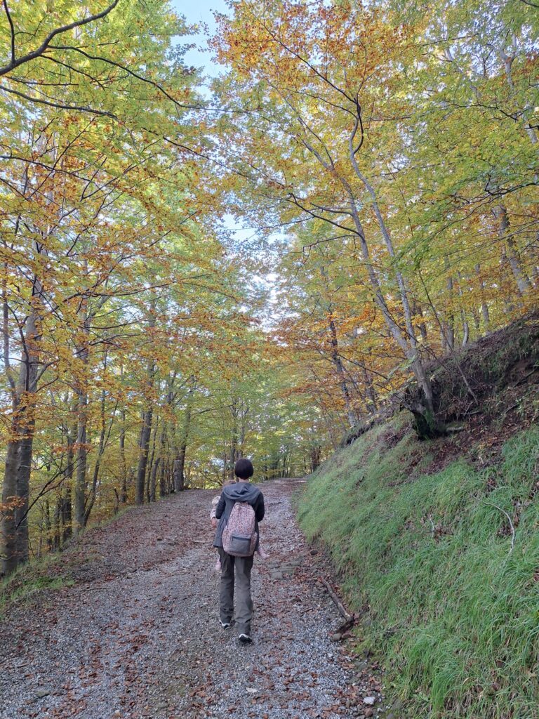 Foliage in Garfagnana: i Patriarchi di Pratofosco - immagine 9