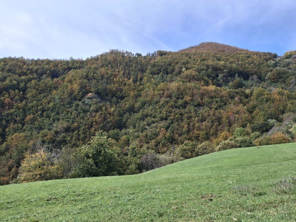 Foliage in Garfagnana: i Patriarchi di Pratofosco - immagine 10