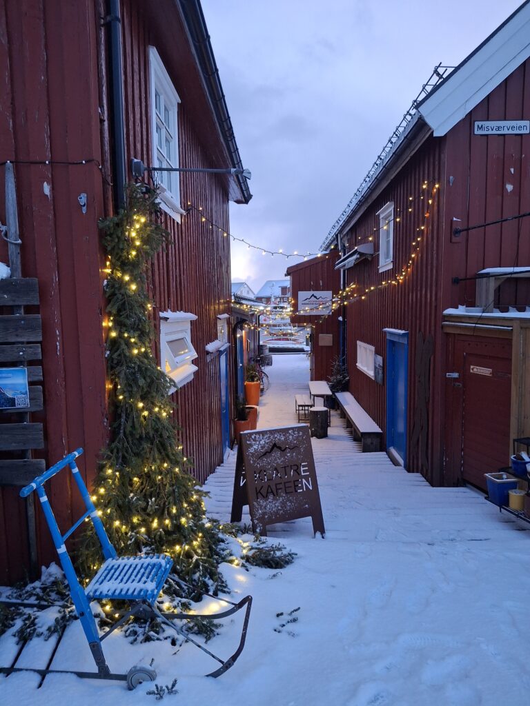 Lofoten in inverno, vivere la notte polare a Capodanno - immagine 13