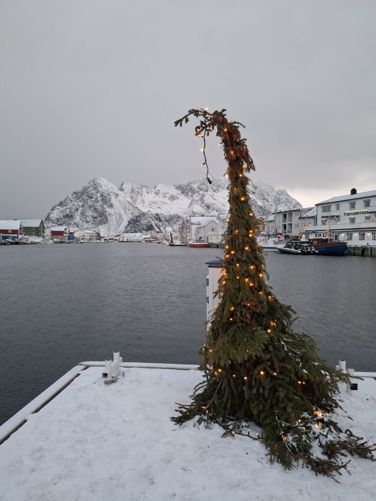 Lofoten in inverno, vivere la notte polare a Capodanno - immagine 14