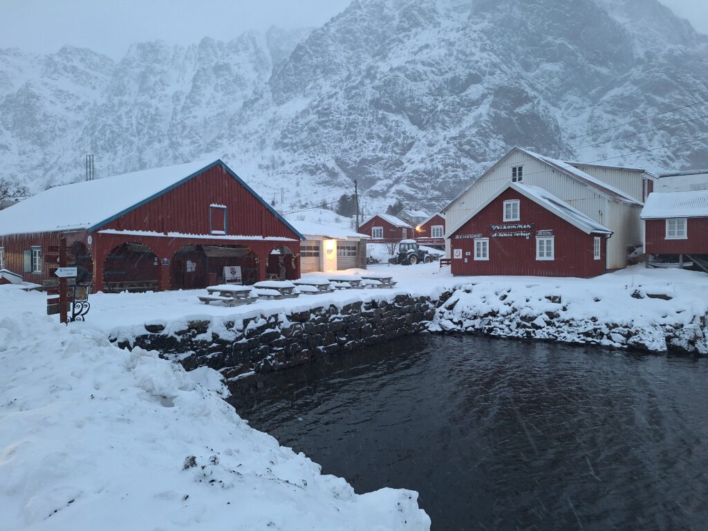 Lofoten in inverno, vivere la notte polare a Capodanno - immagine 25