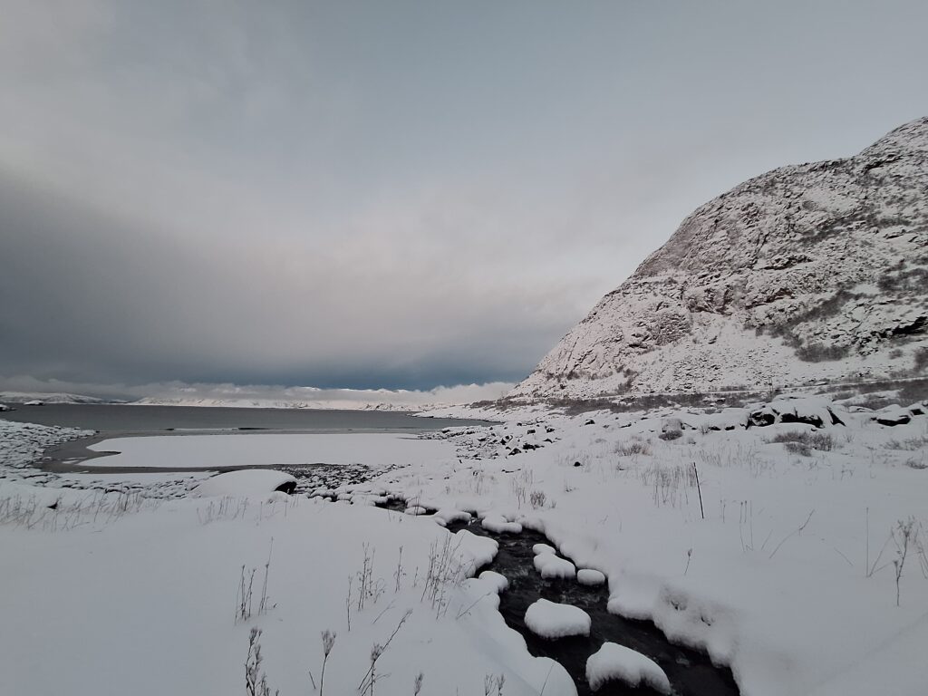 Lofoten in inverno, vivere la notte polare a Capodanno - immagine 39